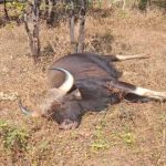 5089856 Untitled 14 Copy.jpg