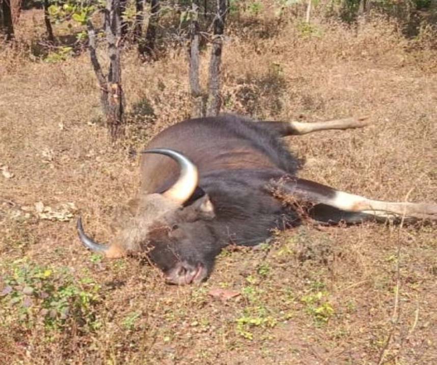 5089856 Untitled 14 Copy.jpg