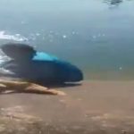 5092960 Untitled 5 Copy.jpg