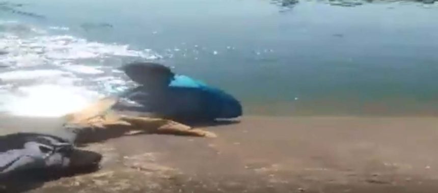 5092960 Untitled 5 Copy.jpg