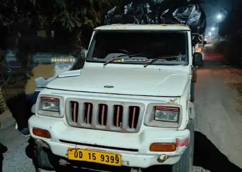 5095352 Untitled 79 Copy.jpg