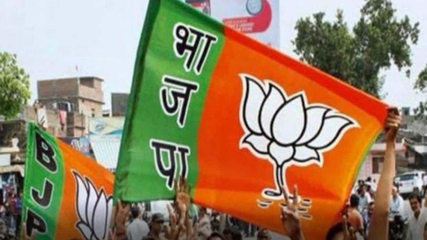 Whatsapp Image 2025 12 02 At 4.56.01 Pm.jpeg