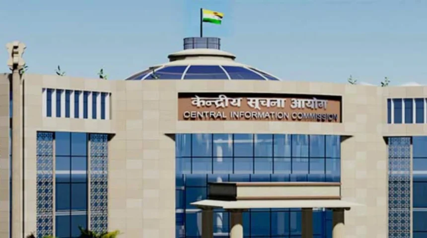 News Image 176570465314 12 2025 15 00 53.webp.webp