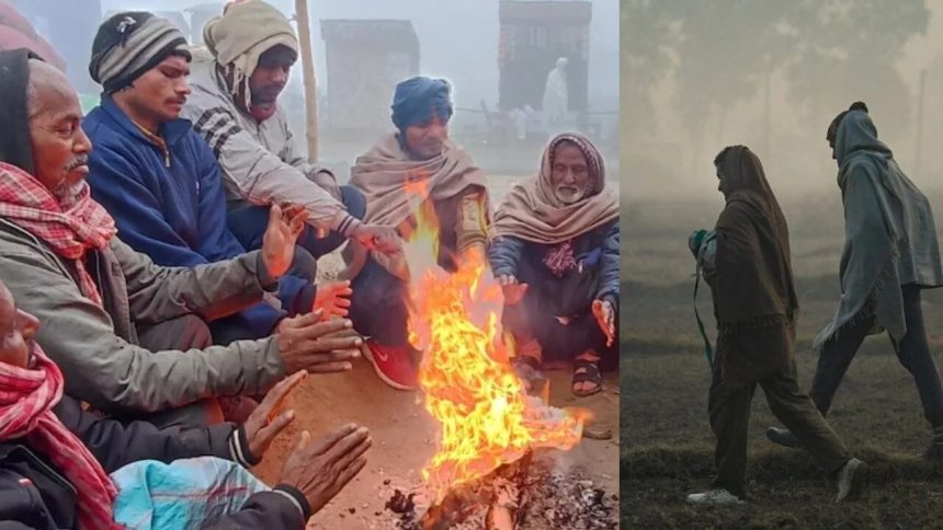 19dec8 1766120830778 1766120839148.jpg