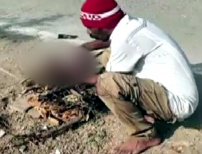 5154141 Untitled 8 Copy.jpg