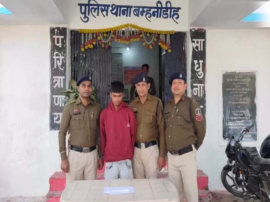 5158644 Untitled 12 Copy.jpg