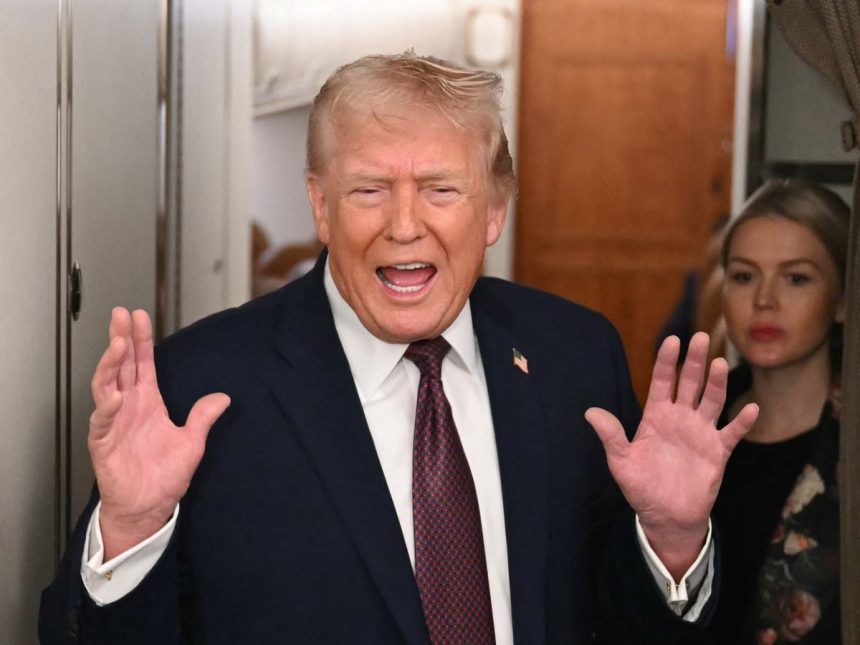 5159728 Untitled 8 Copy.jpg