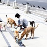 5159895 Untitled 15 Copy.jpg