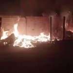 5163557 Untitled 41 Copy.jpg