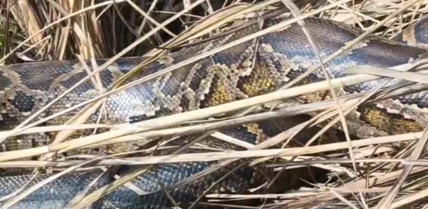 5168223 Untitled 3 Copy.jpg