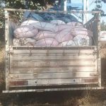 5170527 Untitled 38 Copy.jpg