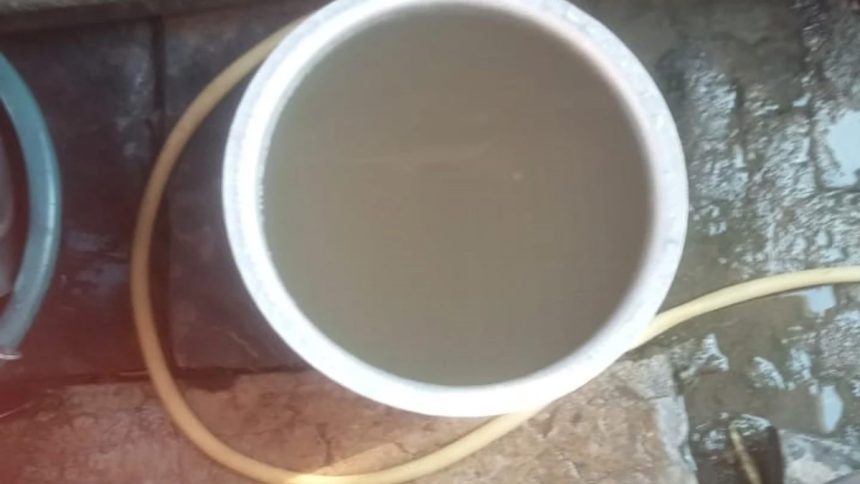 5170537 Untitled 39 Copy.jpg