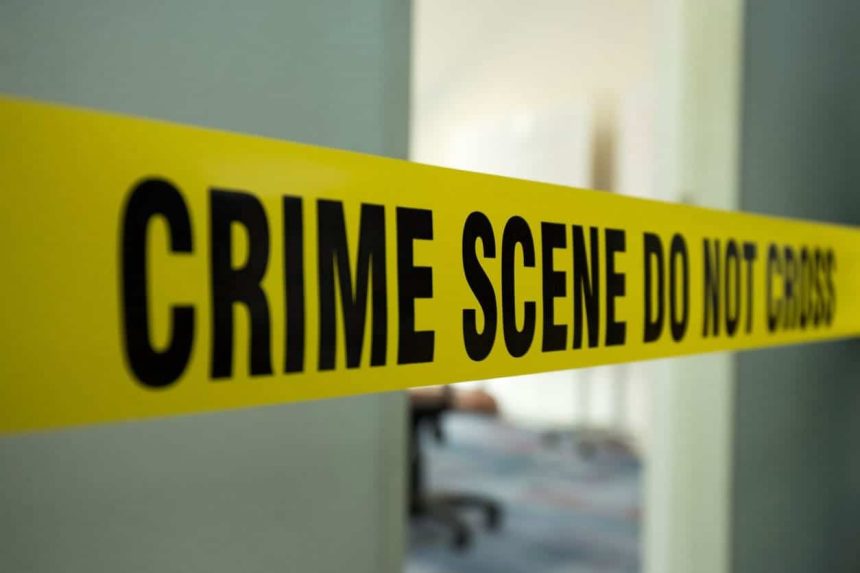 5195525 Untitled 58 Copy.jpg