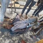 Whatsapp Image 2026 01 08 At 1.40.50 Pm 1.jpeg