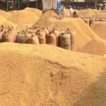 Whatsapp Image 2026 01 14 At 20.01.00.jpeg