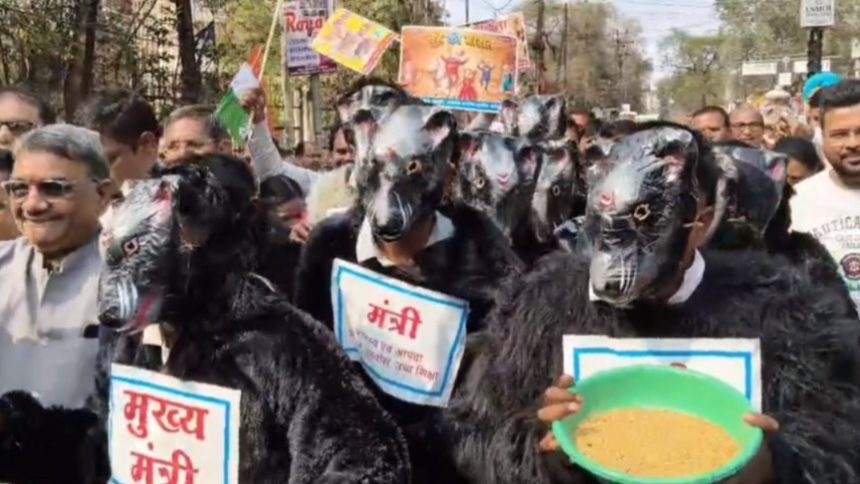 Whatsapp Image 2026 01 20 At 4.43.58 Pm.jpeg