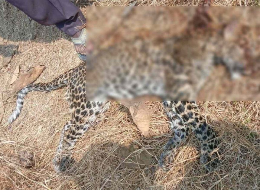 Whatsapp Image 2026 01 24 At 7.24.48 Pm 1.jpeg