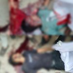 Whatsapp Image 2026 01 29 At 19.28.53.jpeg