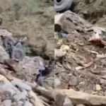 News Image 176908817122 01 2026 18 52 51.webp.webp