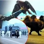 News Image 176933672625 01 2026 15 55 26.webp.webp