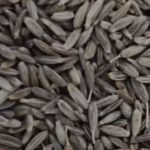 5203805 Untitled 12 Copy.jpg