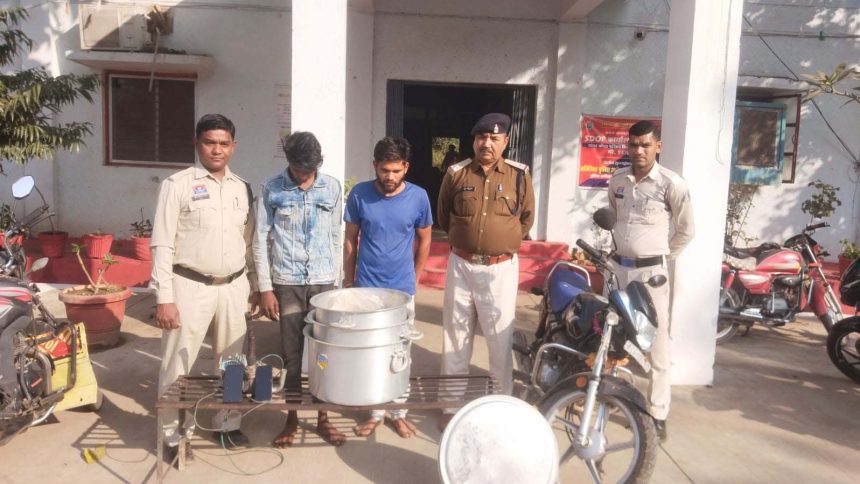 5205813 Untitled 37 Copy.jpg