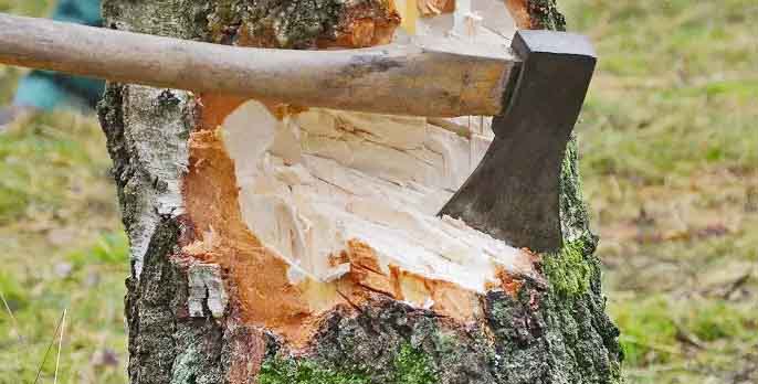 5217573 Untitled 5 Copy.jpg