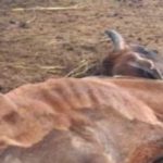 5235984 Untitled 6 Copy.jpg