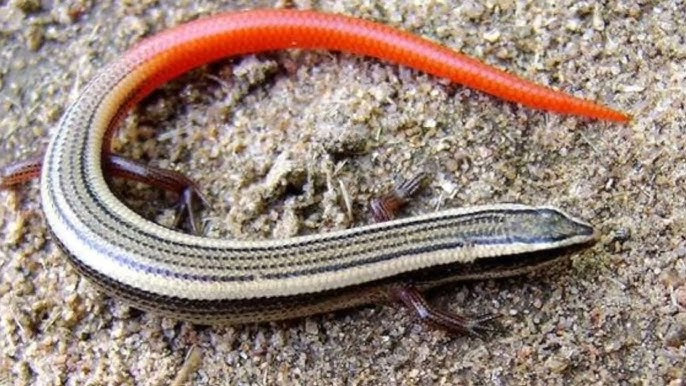 5248880 Untitled 24 Copy.jpg