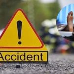 Whatsapp Image 2026 02 07 At 20.36.25.jpeg