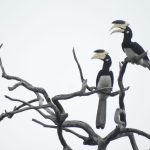 Whatsapp Image 2026 02 09 At 10.02.27 Am.jpeg