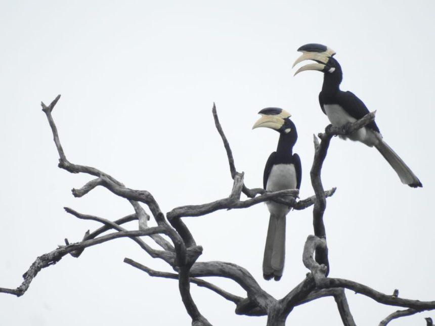 Whatsapp Image 2026 02 09 At 10.02.27 Am.jpeg