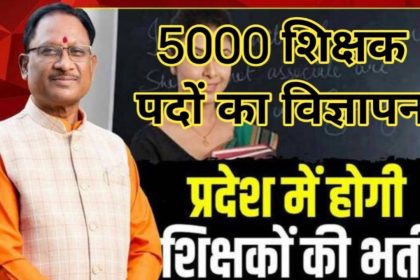 Whatsapp Image 2026 02 19 At 21.11.26.jpeg