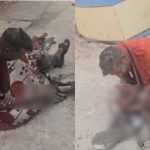 Whatsapp Image 2026 02 23 At 2.46.22 Pm.jpeg