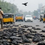 News Image 177046502107 02 2026 17 20 21.webp.webp