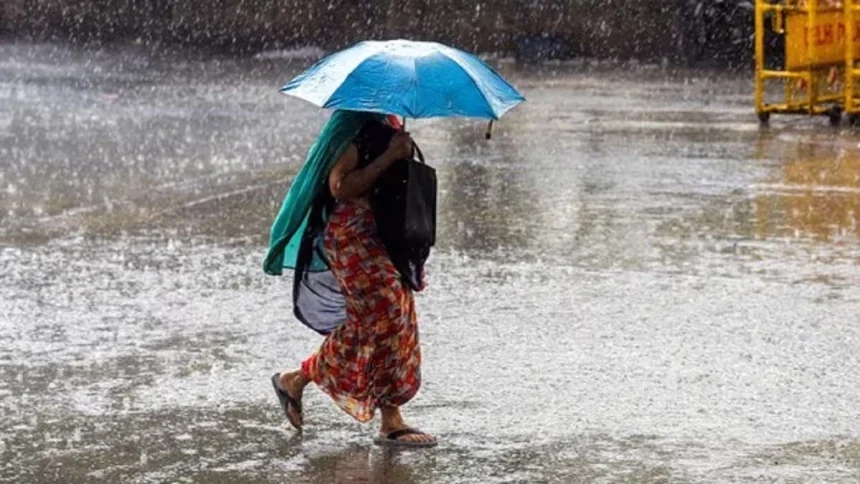 Rain 4.jpg