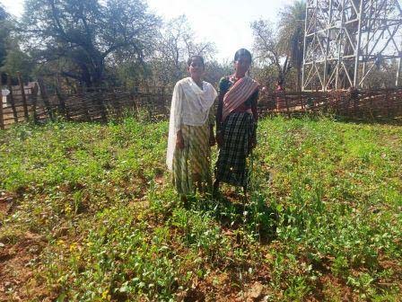 5280367 Untitled 39 Copy.jpg