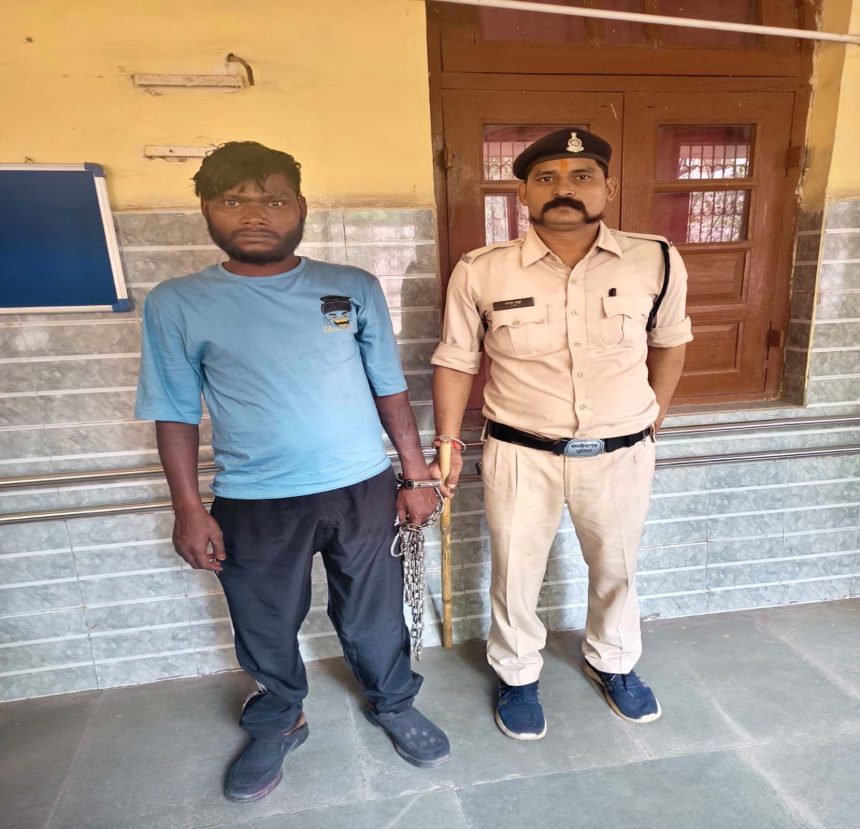 5280396 Untitled 45 Copy.jpg