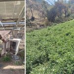 5283255 Untitled 1 Copy.jpg