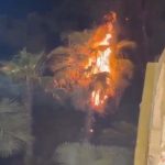 5292367 Untitled 38 Copy.jpg