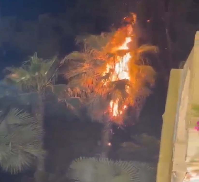 5292367 Untitled 38 Copy.jpg