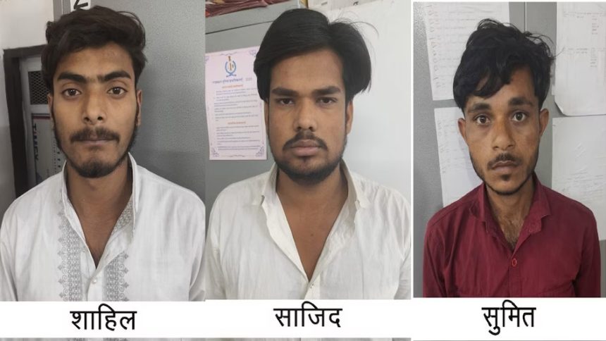 5296538 Untitled 10 Copy.jpg