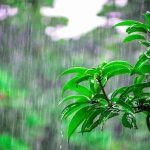 5298050 Untitled 38 Copy.jpg