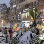 5303934 Untitled 107 Copy.jpg