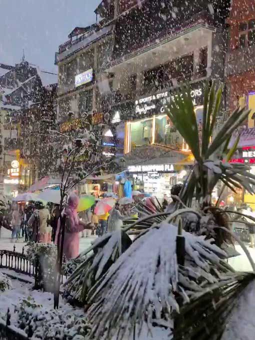 5303934 Untitled 107 Copy.jpg