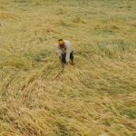 5310079 Untitled 65 Copy.jpg