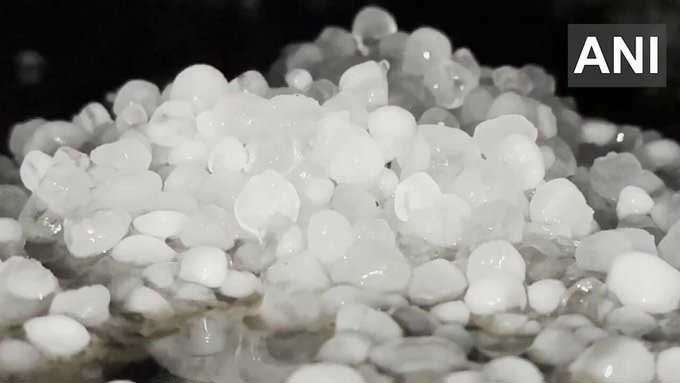 5313313 Untitled 64 Copy.jpg