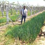 5314674 Untitled 40 Copy.jpg