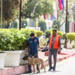 5315694 Untitled 69 Copy.jpg