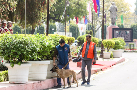 5315694 Untitled 69 Copy.jpg